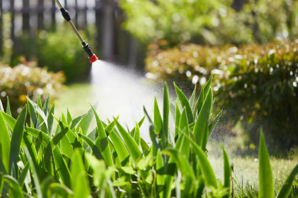 24/7 Emergency Mosquito Control experts in Ames, TX