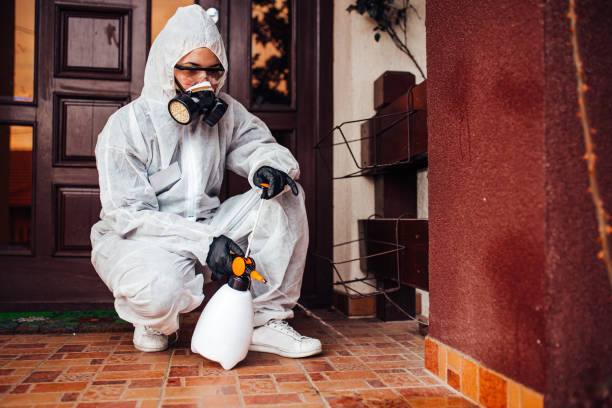Reliable Mosquito Control contractor in Ames, TX by Nex Pest Control